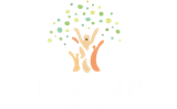 Cedarlinks Nigeria limited